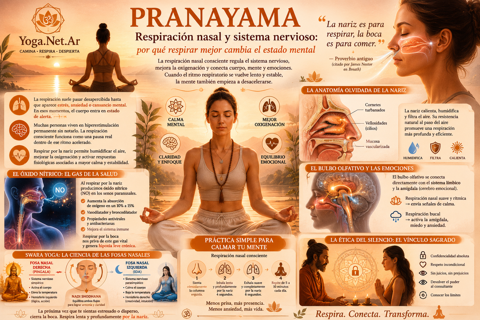 Respiraci&oacute;n nasal y sistema nervioso: por qu&eacute; respirar mejor cambia el estado mental | Yoga